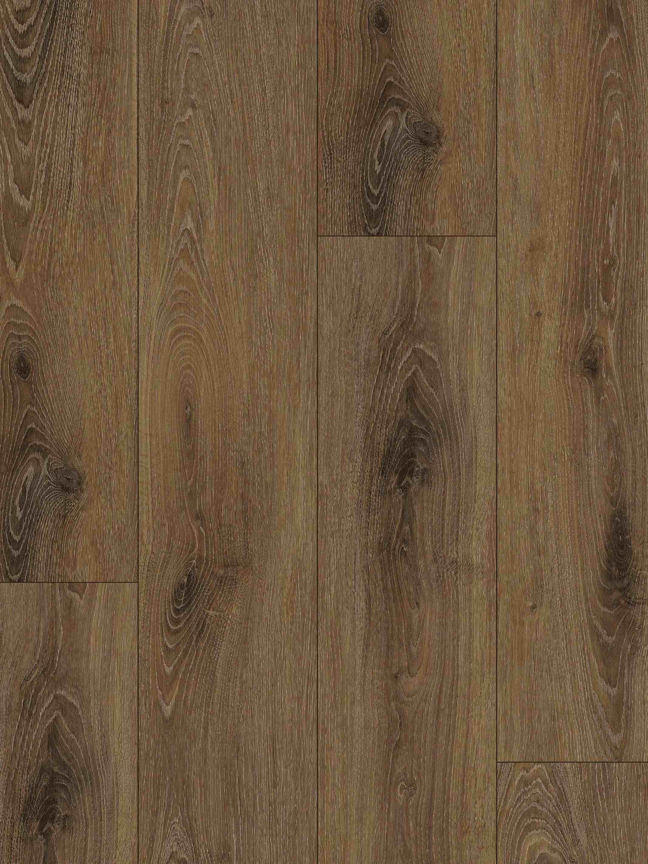 504